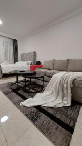 The Ruaka Studio Apartment - Nairobi